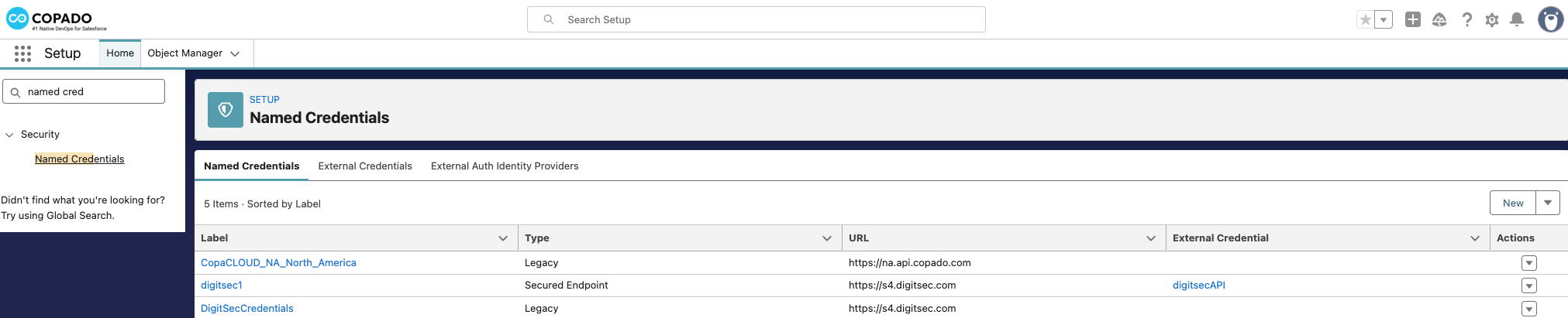 DigitSecCredentials.png